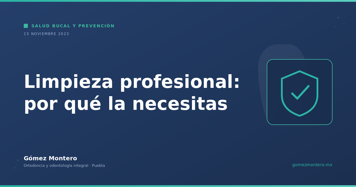 Limpieza profesional: por qué la necesitas