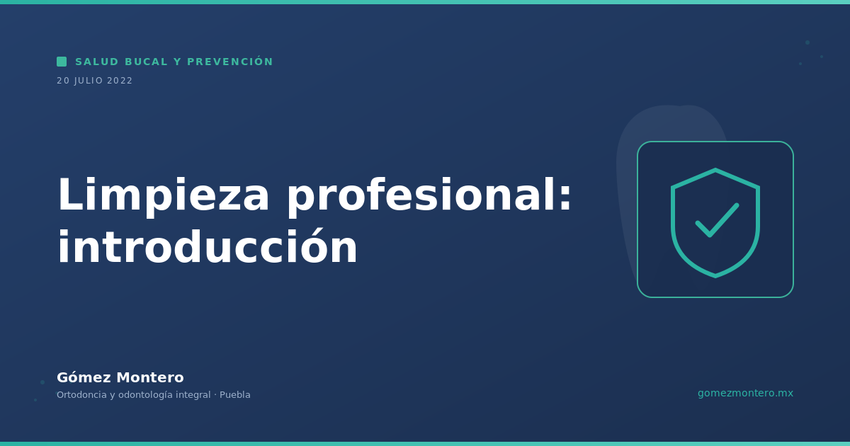 Limpieza profesional: introducción